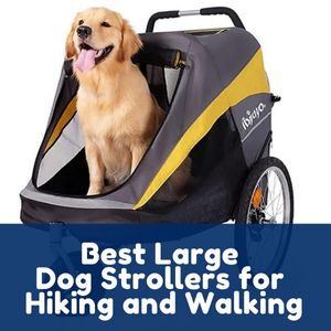 Best Large Dog Strollers for Hiking and Walking