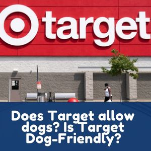 Is Target Dog-Friendly?