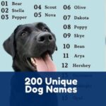 200 Unique Dog Names 150x150 
