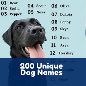 Unique Dog Names - Ultimate Dog Name Guide 2022 - SparkyGo