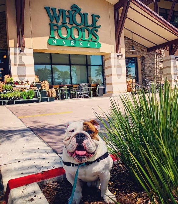 Are Dogs Allowed In Whole Foods Market