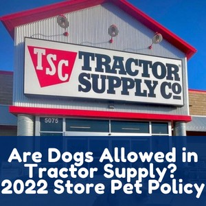 Are Dogs Allowed in Tractor Supply