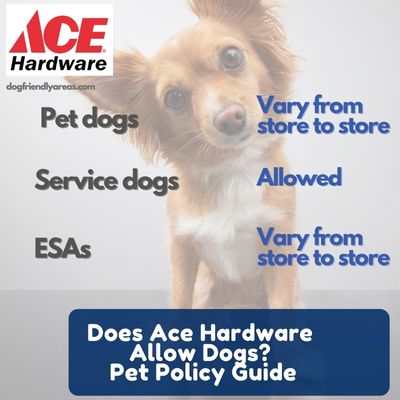 Does Ace Hardware Allow Dogs
