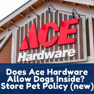 Does Ace Hardware Allow Dogs Inside