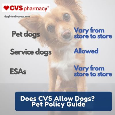 Does CVS Allow Dogs