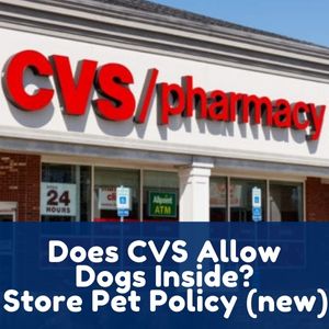 Does CVS Allow Dogs Inside