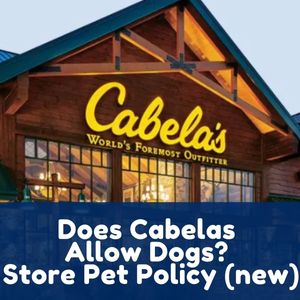 Does Cabelas Allow Dogs