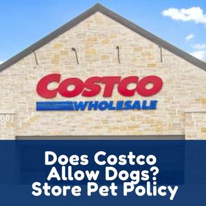Does Costco Allow Dogs?