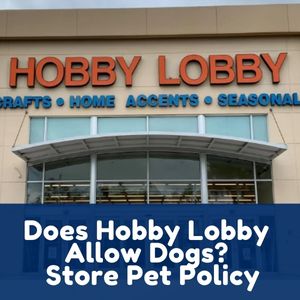 Does Hobby Lobby Allow Dogs?