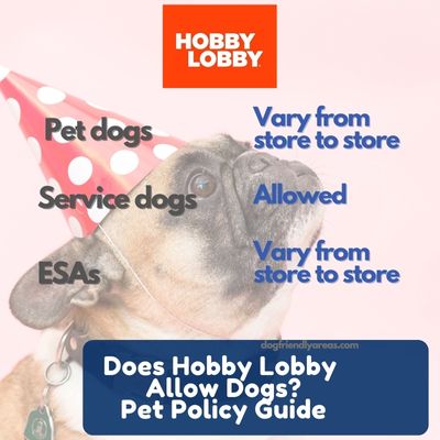 Does Hobby Lobby Allow Dogs