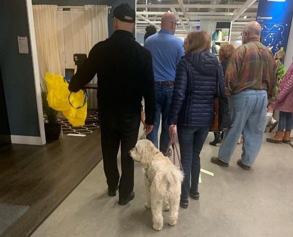 Does IKEA Allow Dogs