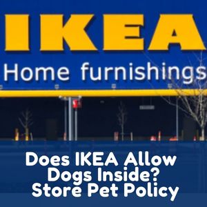 Does IKEA Allow Dogs Inside