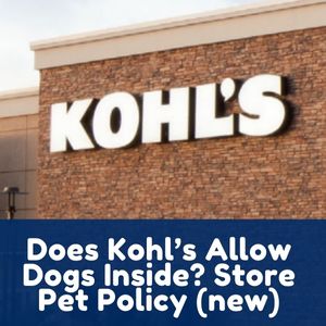 Does Kohls Allow Dogs