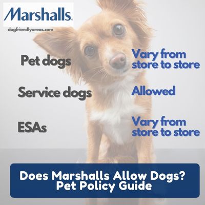 Does Marshalls Allow Dogs