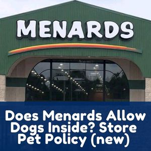 Does Menards Allow Dogs Inside