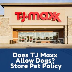 Does TJ Maxx Allow Dogs