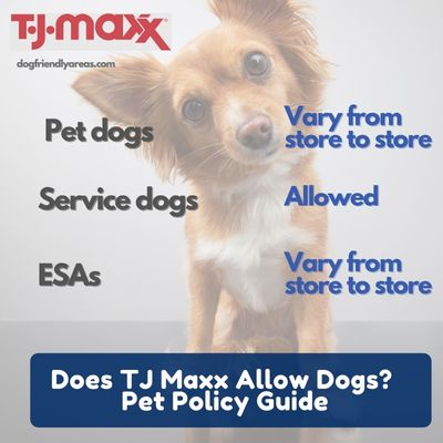 Does TJ Maxx Allow Dogs