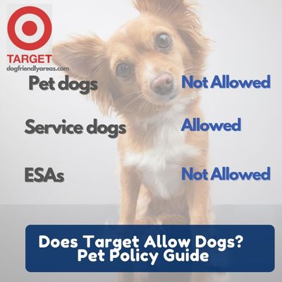Does Target Allow Dogs