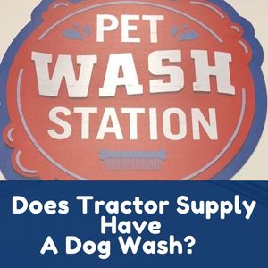 Does Tractor Supply Have A Dog Wash