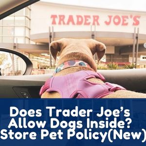 Does Trader Joes Allow Dogs Inside