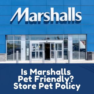 Is Marshalls Pet Friendly