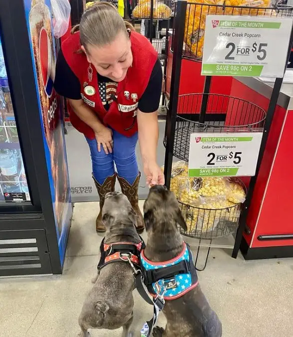 tractor supply dogs welcome