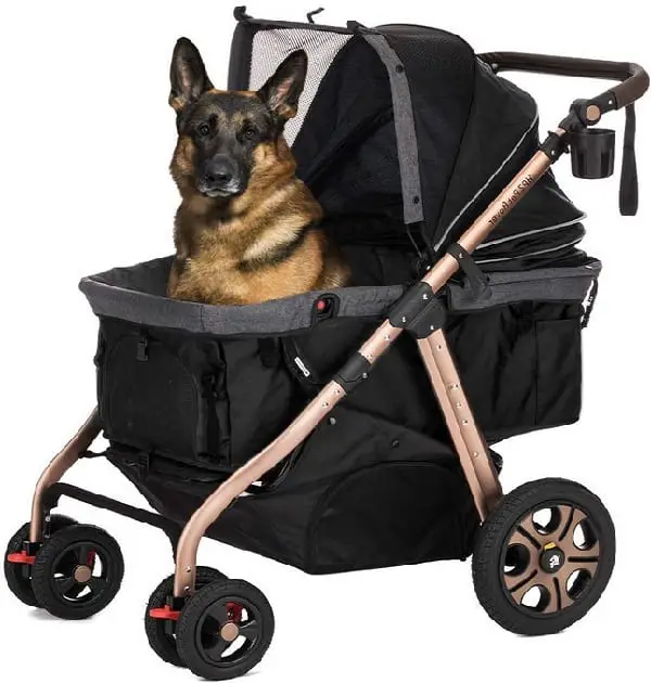 Large Dog Strollers for Hiking and Walking