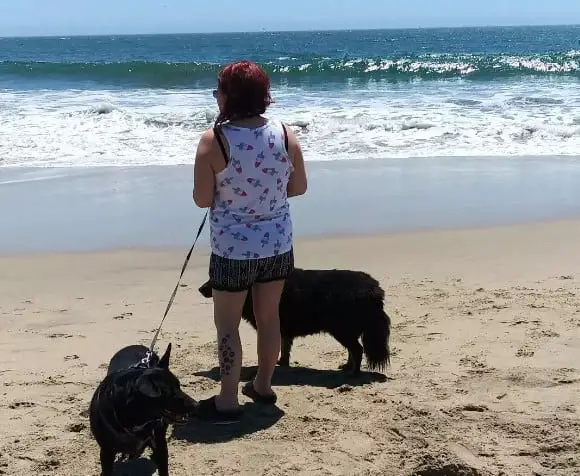 MITCHELL'S COVE BEACH: Dog Friendly