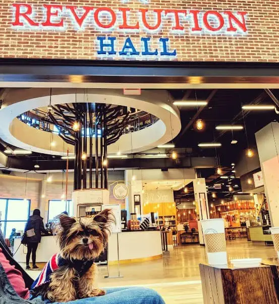 Pet Policy At The Malls