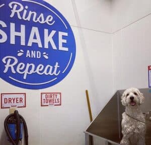 Tractor Supply Dog Wash Station. All You Need To Know