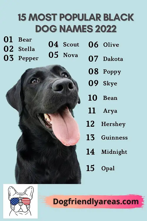 unique boy dog names