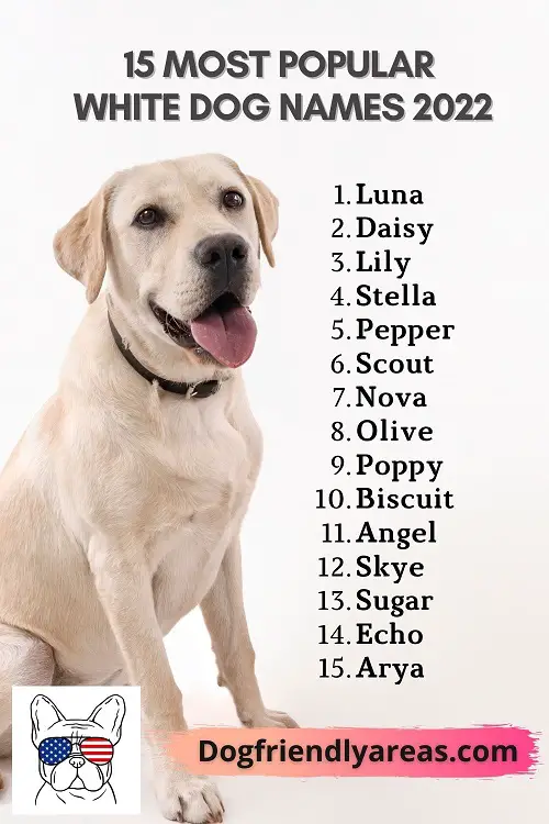 Unique Dog Names 2 