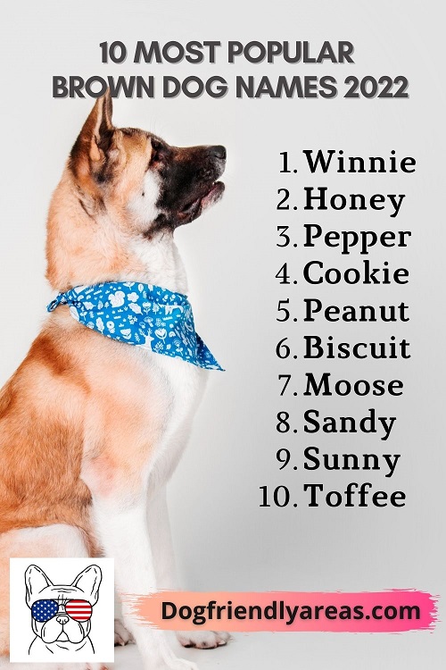 unique dog names