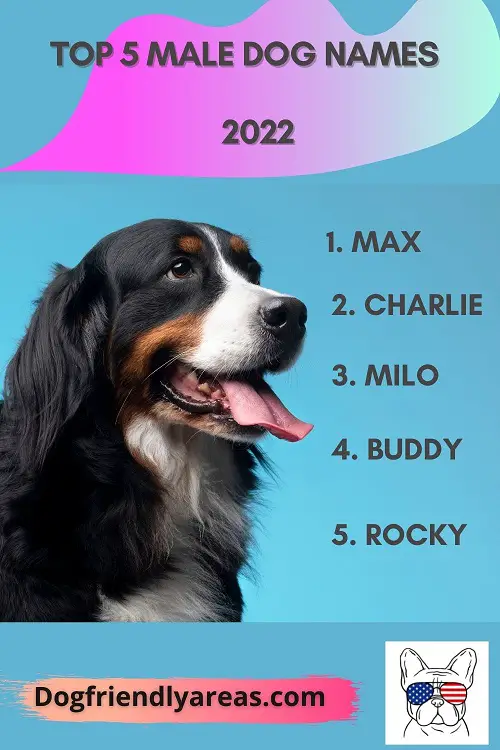 unique male dog names