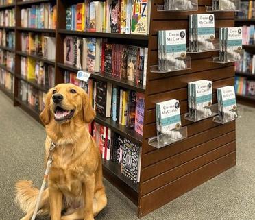 does barnes noble allow dogs