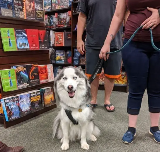 Barnes & Noble Allow Service Animals