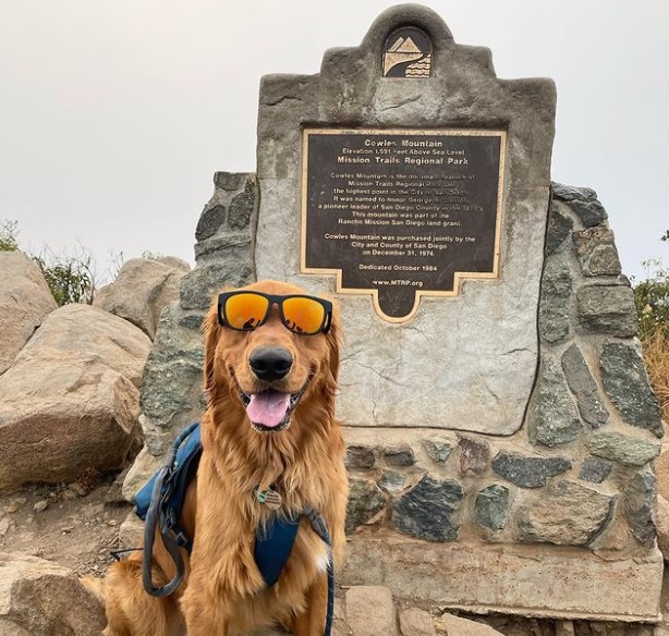 Cowles Mountain Dog-Friendly Hikes