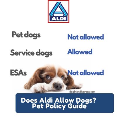 Does Aldi Allow Dogs