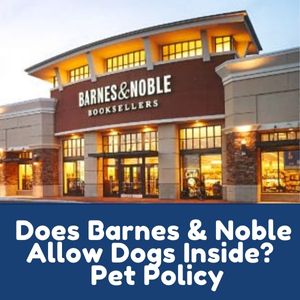Does Barnes & Noble Allow Dogs Inside?