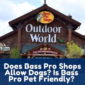 Does Bass Pro Shops Allow Dogs
