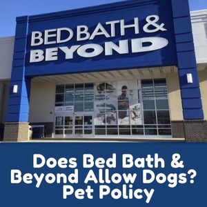 Does Bed Bath & Beyond Allow Dogs Inside?