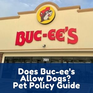 Does Buc-ee's Allow Dogs