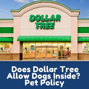 Does Dollar Tree Allow Dogs Inside?