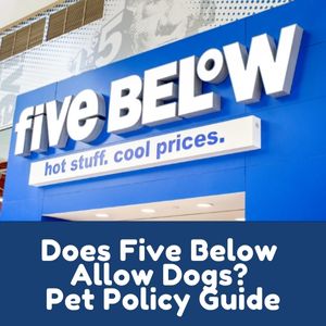 Does Five Below Allow Dogs