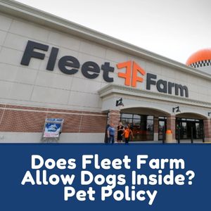Does Fleet Farm Allow Dogs Inside?