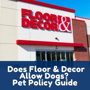 Does Floor & Decor Allow Dogs