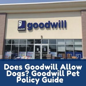 Does Goodwill Allow Dogs
