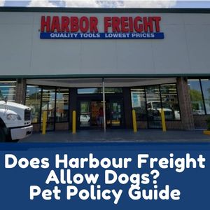 Does Harbour Freight Tools Allow Dogs