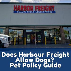 are dogs allowed in harbor freight