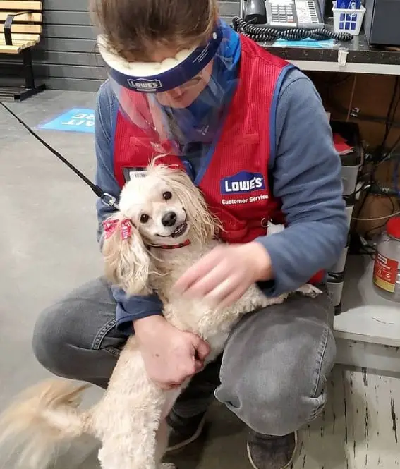 Lowe’s Allow Dogs